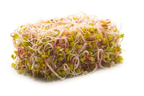 Sprouts box shaped Stock Photos