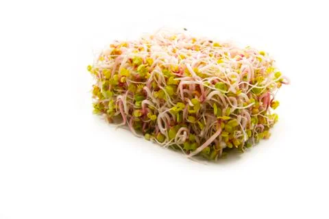 Sprouts box shaped Stock Photos