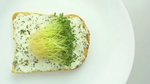 Sprouts on bread slice with cream cheese spread Stock Footage 76102411