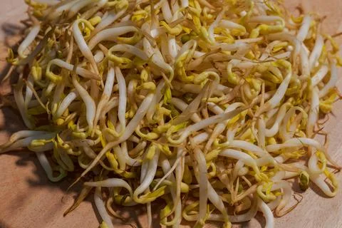 Sprouts fill the frame Stock Photos