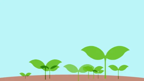 Sprouts of Futaba Video stock 327400401