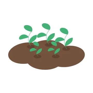 Sprouts on ground on white background for use on site Illustrazione stock
