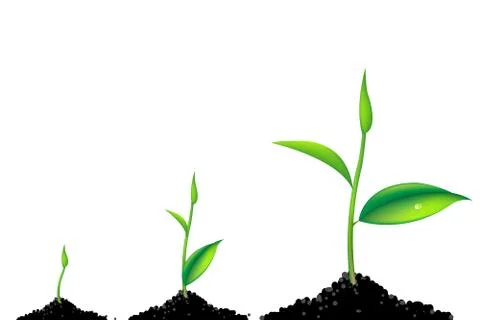 Sprouts Stock Illustration