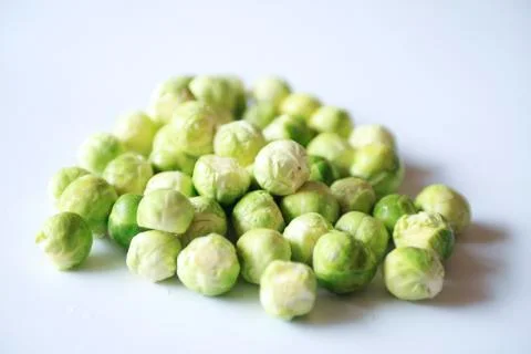 Sprouts Stock Photos