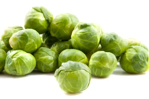 Sprouts Stock Photos