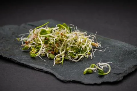 Sprouts Stock Photos