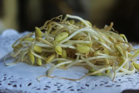 Sprouts Stock Photos