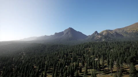 Spruce and pine trees and mountains of Colorado Видео 234191754