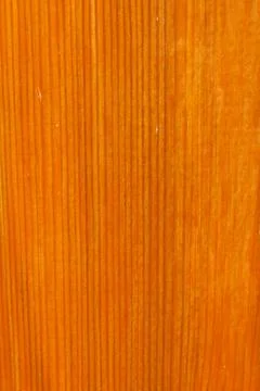 Spruce board covered with a layer of varnish Stock Photos