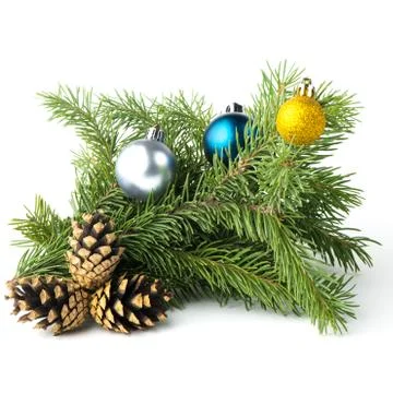 Spruce branch Stock Photos