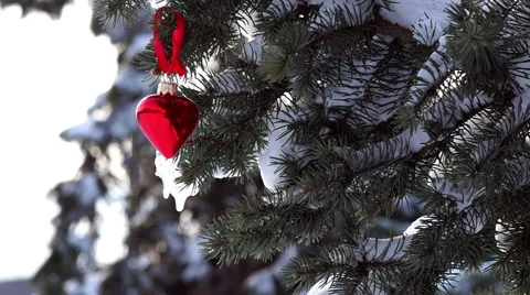 Spruce Branch with Snow and Heart 動画素材 45857093