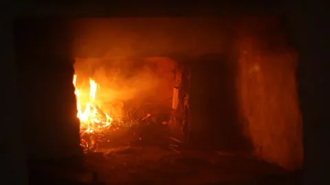 Spruce branches burn in the oven Stock Footage 296917337