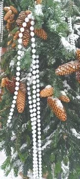 Spruce branches with cones decorated with beads Stock Photos