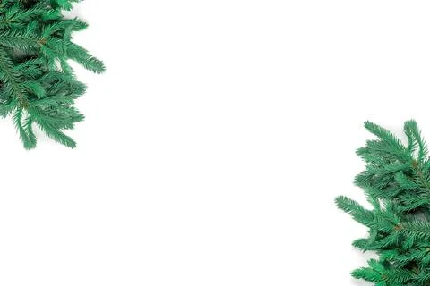 Spruce branches isolated on white background arranged at corners of frame. te Stock Photos
