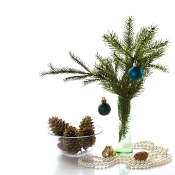 Spruce branches Stock Photos