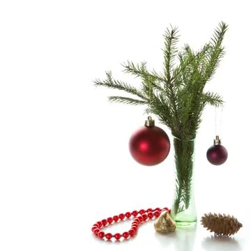 Spruce branches Stock Photos