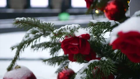 Spruce branches with snow on it and Christmas toys - red balls in the foregro Stock Footage 139850063
