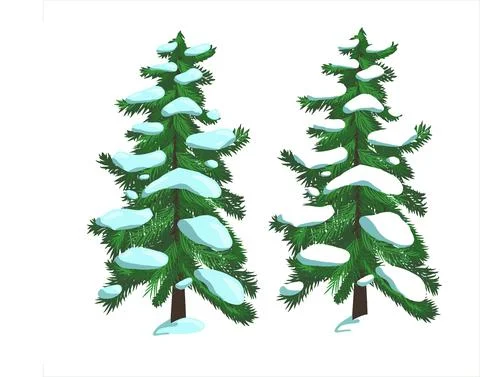Spruce. Christmas. Vector Stock Illustration