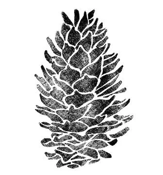 Spruce cone element for design isolated on white Stock Illustration