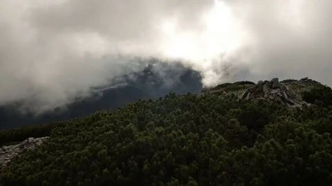 Spruce with cones in mountain top on background of a rapidly running clouds Stock Footage 77571884