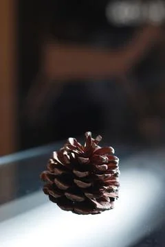 Spruce coniferous cone on the table festive atmosphere blurred background Stock Photos