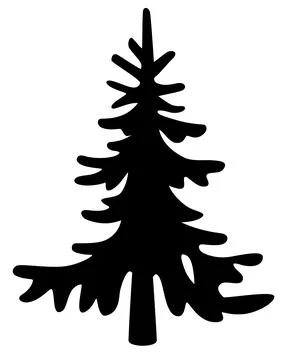 Spruce, coniferous evergreen tree - vector silhouette picture for logo Illustrazione stock
