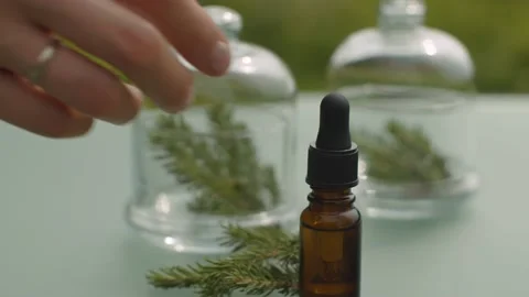 Spruce essential oil Stock Footage 137247640