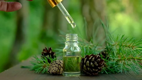 Spruce essential oil in a small bottle. Selective focus. Stock Footage 155787247