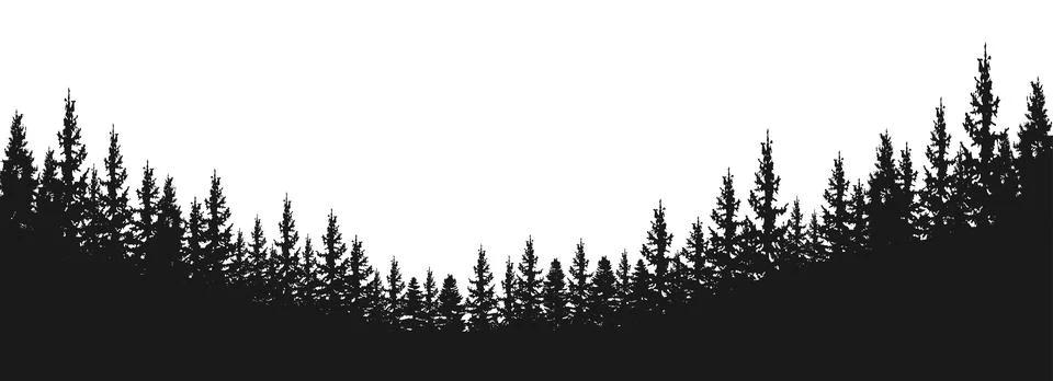Spruce fir forests, pine tree silhouettes Stock Illustration