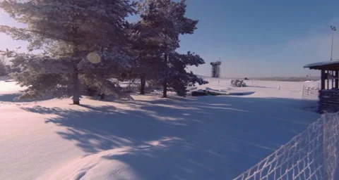 Spruce Stock Footage 131559918