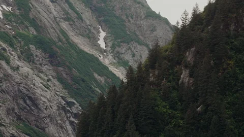 Spruce forest below granite mountainside and snow gully in Alaska Vídeos de archivo 347817935