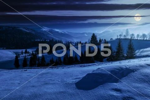 Spruce forest on snowy meadow in high mountains at night Stock Photos