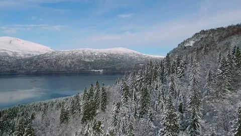 Spruce forest winter flyover towards fjord Stock Footage 73791768