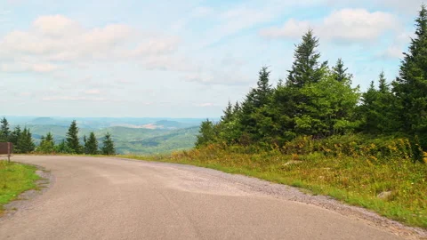 Spruce Knob mountain forest spruce pine driving shot, West Virginia Video stock 321977911