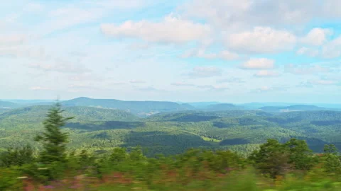 Spruce Knob mountain forest spruce pine driving shot, West Virginia Vídeo Stock 321978010