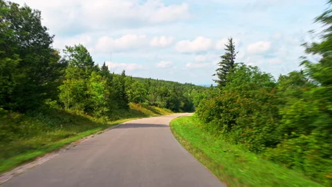 Spruce Knob mountain forest spruce pine driving shot, West Virginia Vídeo Stock 321978191