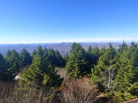 Spruce knob 스톡 사진
