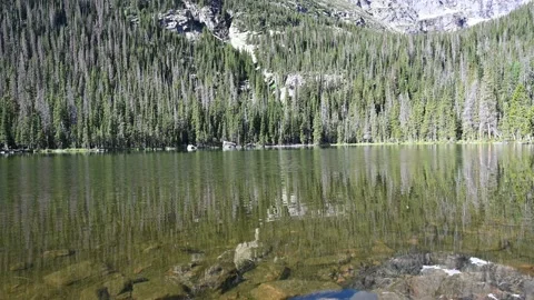 Spruce Lake and Forest Reflections Stock Footage 147571533