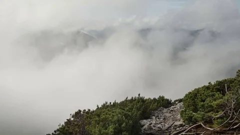 Spruce in mountain top on background of a rapidly running clouds. smooth Vídeos de archivo 77616224