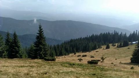 Spruce mountains and sky Environment in sunny day ature in the Carpathians Green Stock Footage 116718547