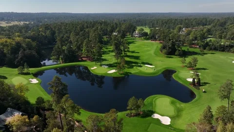 Spruce pine trees at Augusta National Golf Club in Georgia. Aerial view of Stock Footage 221812267