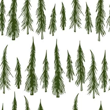 Spruce seamless pattern Stock Illustration