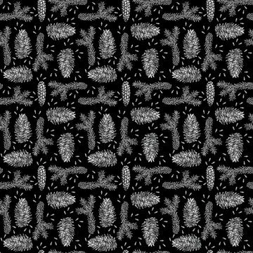 Spruce seamless pattern isolated on black. Picea branch, cone, seed. Stock Illustration