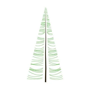 Spruce with smooth trunk and chaotic branches Stock Illustration