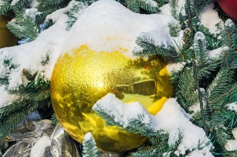 Spruce in snow Stock Photos