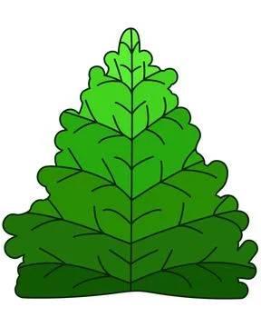 Spruce stylized, Christmas tree - vector full-color picture. Coniferous Evergree Stock Illustration