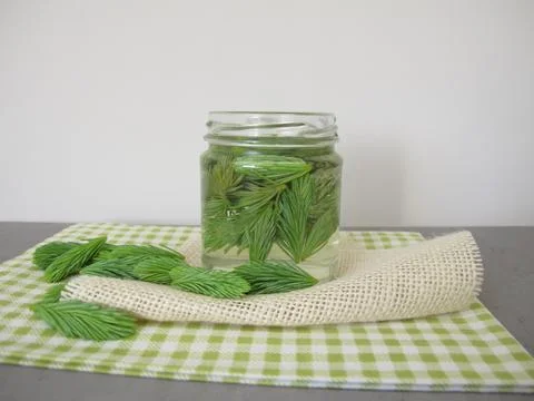 Spruce tips extract Foto stock