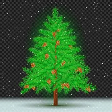 Spruce tree dark transparent background Stock Illustration