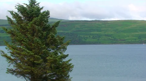 Spruce tree in front of a loch, small sailing boat Stock Footage 39920241