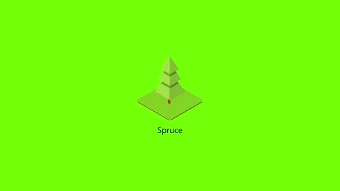 Spruce tree icon animation Stock Footage 156458481